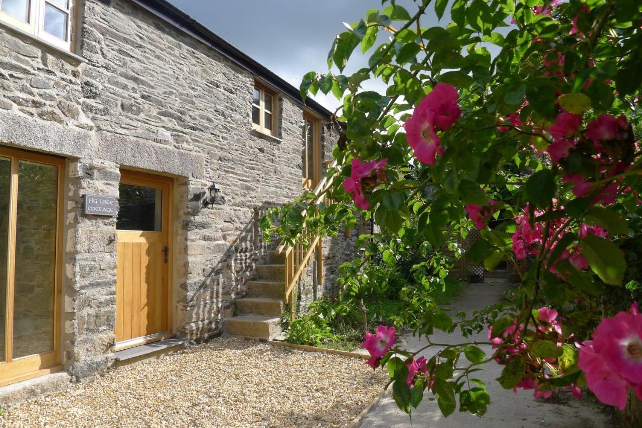 Tuell Farm Cottages Тависток Экстерьер фото